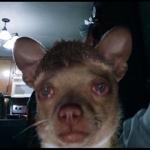 Meet your Posher, Eileen